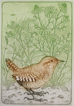 A wren. Contemporary figurative print, Animal, Bird, Colourful, Polish artist