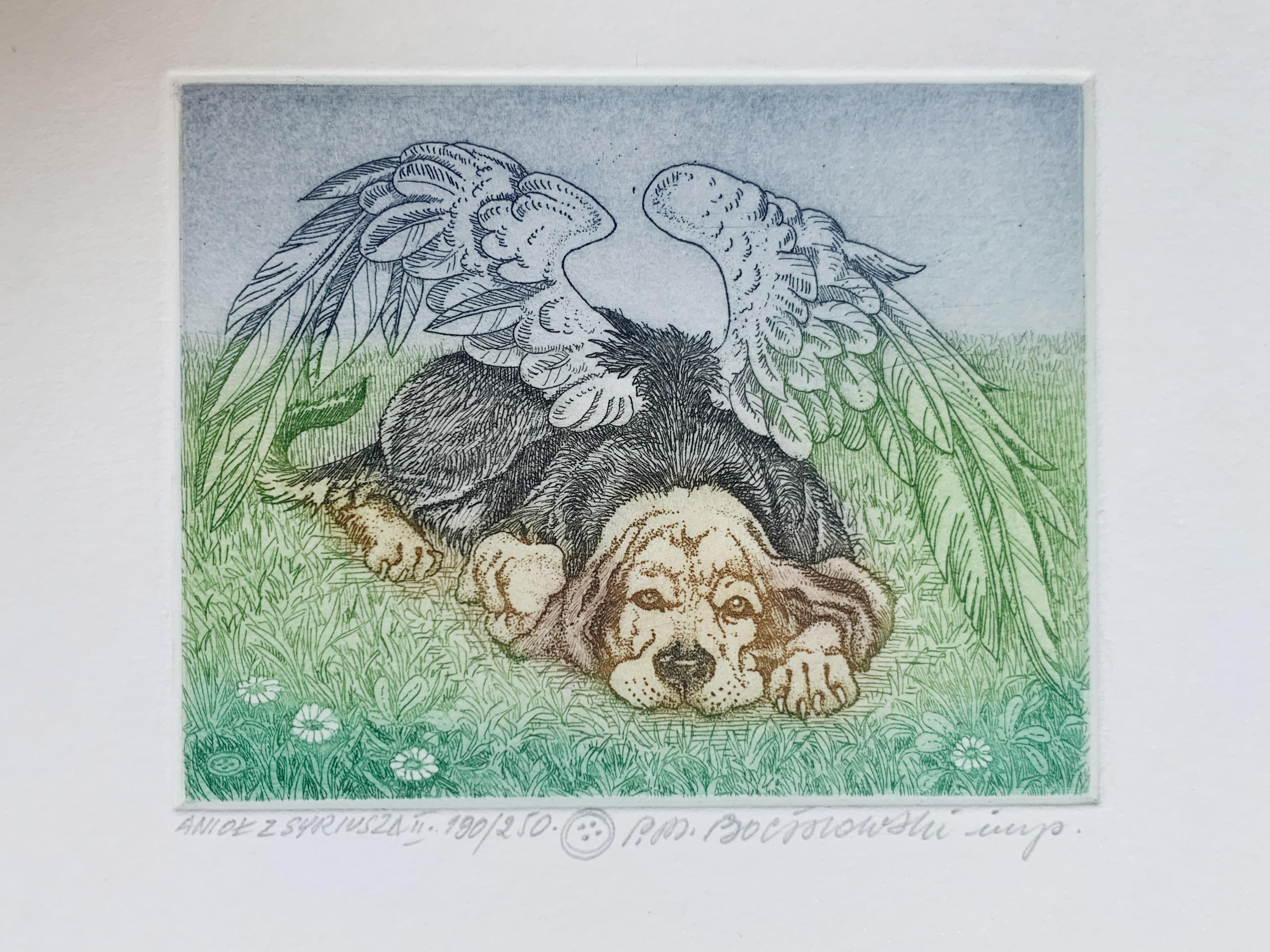 Ángel de Syriusz. Impresión figurativa, Animal, Perro, Realista, Artista polaco - Print de Marian Bocianowski