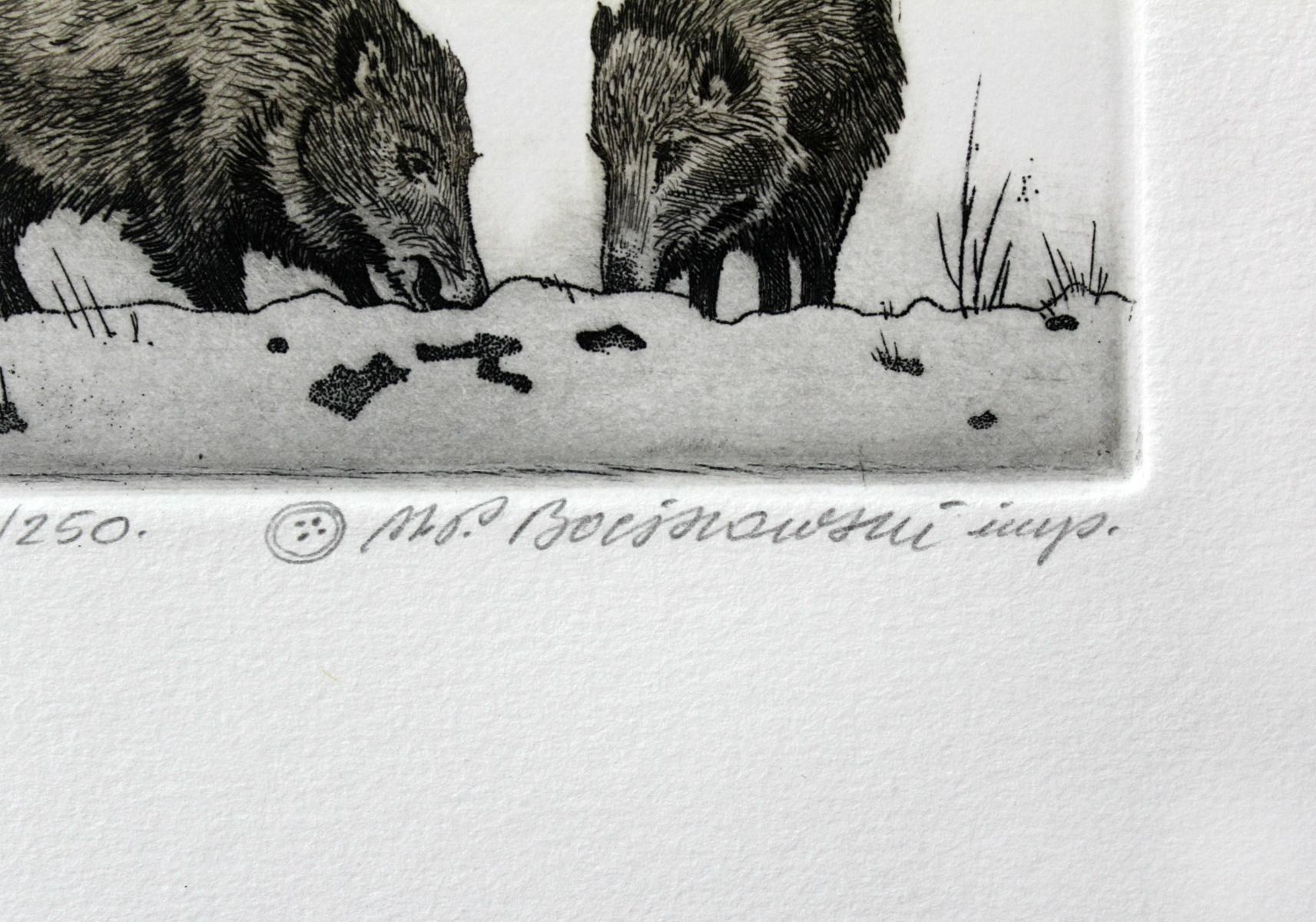 Boars - Figurative print, Animals - Gray Figurative Print by Marian Bocianowski