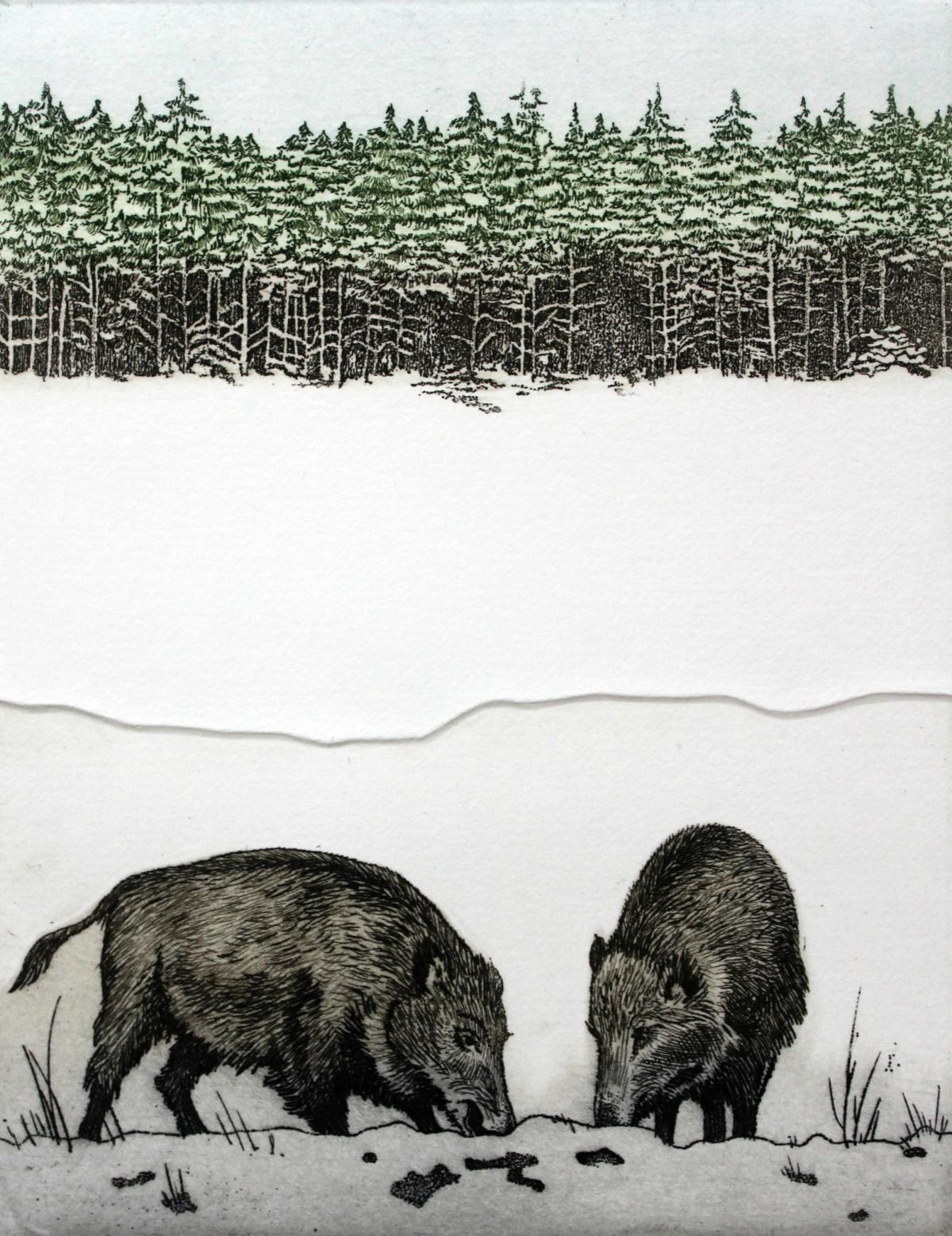 Marian Bocianowski Figurative Print - Boars - Figurative print, Animals