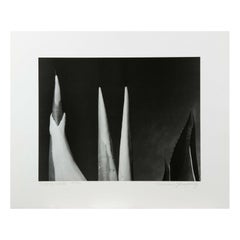 Mariana Yampolsky - Impression lithographique « Maguey Capado » 143/250 Signé