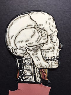 "The Anatomical Series – Box 1 Eye, Head, Hand", Handmade Artist Book