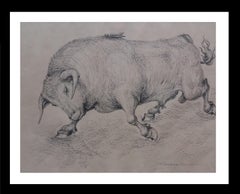 Antique  Bull original realist  drawing painting