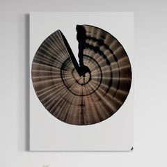 "Círculo de la vida 2"