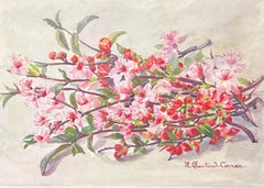 Marie-Amelie Chautard-Carreau - Early 1900
s French Impressionist Signed Flower Watercolour by Marie Carreau Early 1900
s French Impressionist Signed Flower Watercolour by Marie Carreau