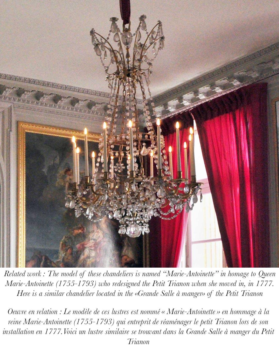 Lampadario di cristallo Baccarat 