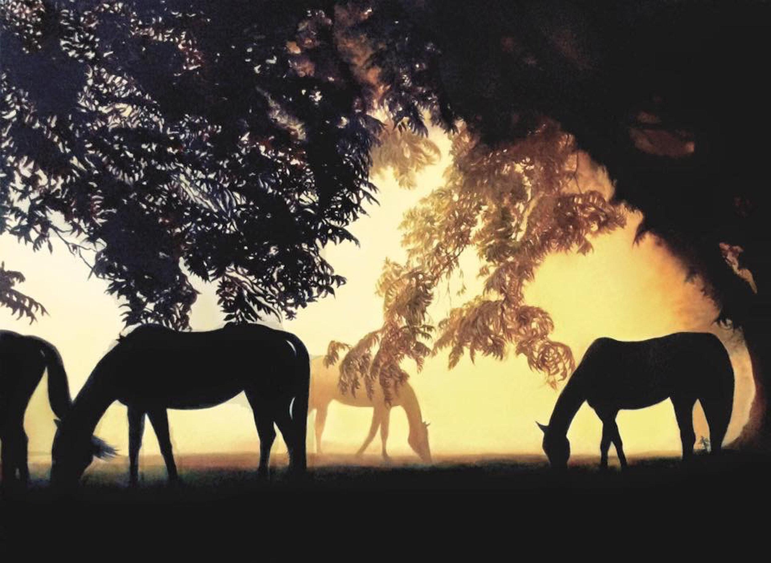 Dieses Werk, "Dawn", ist ein 30x40 großes Ölgemälde auf Leinwand der Künstlerin Marie Channer. Zu sehen ist eine Weide in den frühen Morgenstunden. Pferde grasen in der kühlen Sommerluft, ihre Silhouetten zeichnen sich in der Sonne ab. Warme Töne