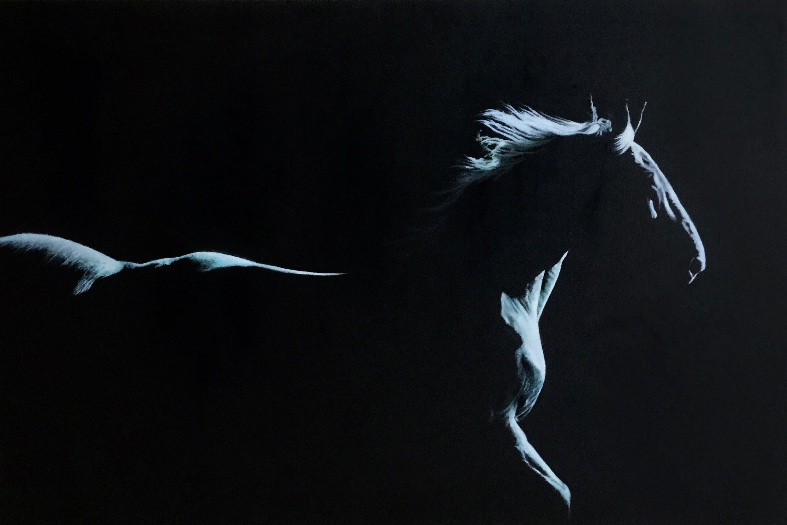 Marie Channer, "Moonlit", 40x60 Equine Horse Silhouette Oil Painting on Canvas