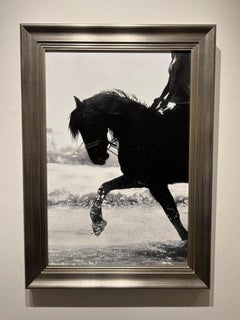 Marie Channer, "Splash Dance", 30x20 Equine Rider Oil Painting on Canvas
