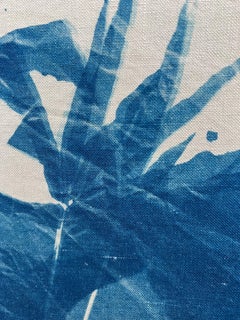 "Buckeye", Abstrait, Contemporain, Arbre, Feuilles, Bleu, Cyanotype, Photographie