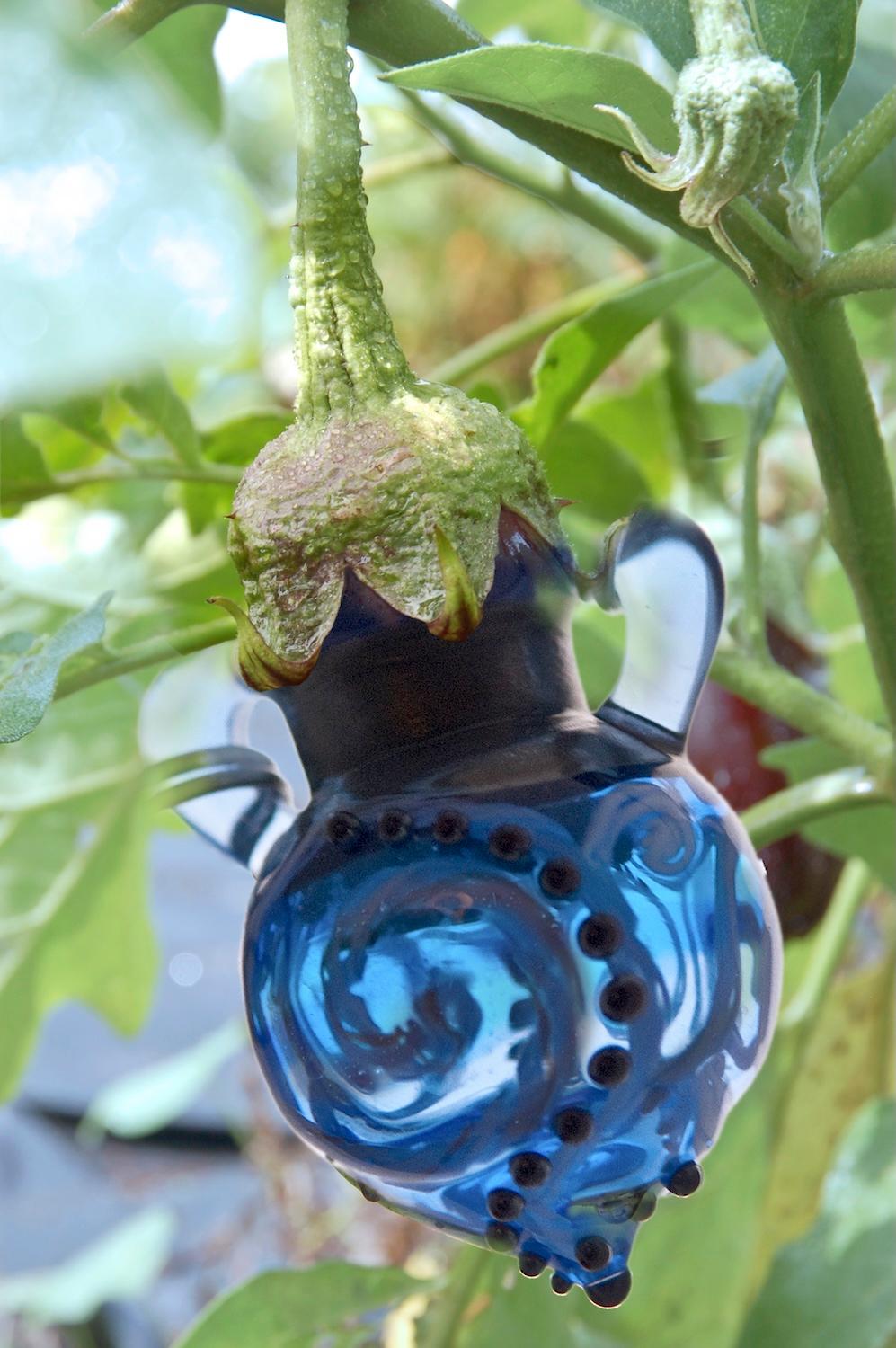 Color Photograph de Marie Craig - "Berenjena", Contemporáneo, Jardín, Naturaleza, Violeta, Fotografía en color