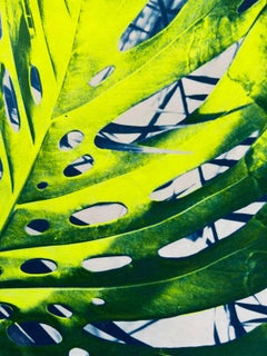 "Everybody Had a Bad Year", Contemporain, Néon, Feuille, Cyanotype, Technique mixte