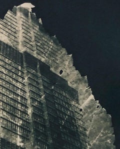 "Forest for the Trees 1", Contemporary, Leaf, Green, Cyanotype, Photograph