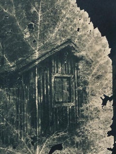 "Forest for the Trees 3", Contemporary, Leaf, Green, Cyanotype, Photograph