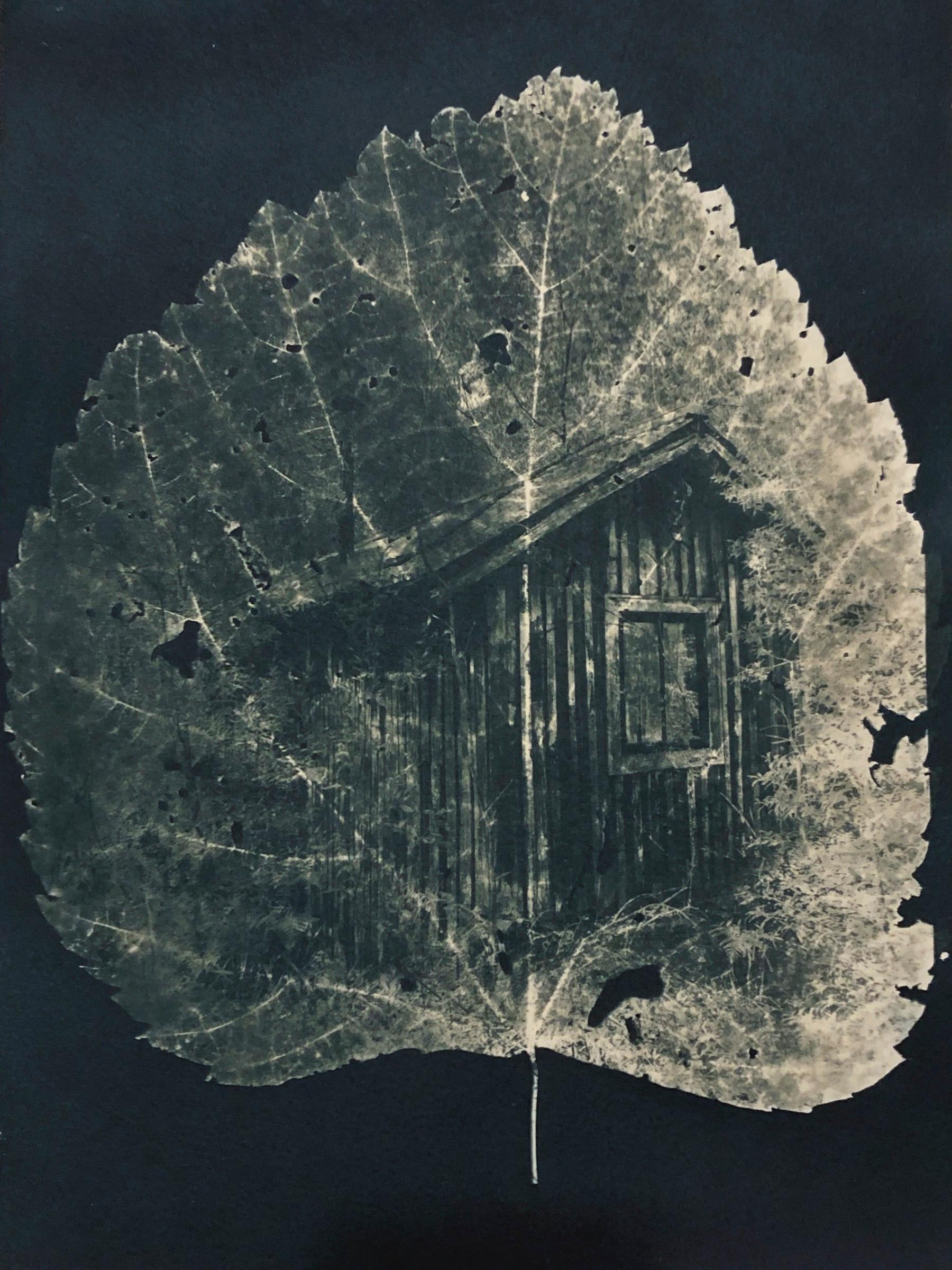 "Forest for the Trees 3", contemporary, leaf, green, cyanotype, photograph - Photograph by Marie Craig