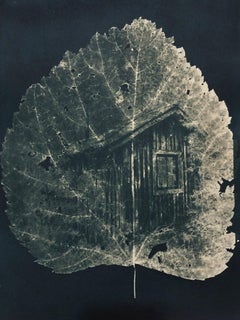 "Forest for the Trees 3", contemporary, leaf, green, cyanotype, photograph