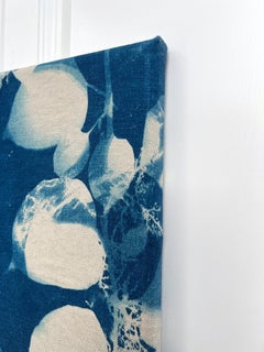 "Knotweed", Contemporary, Leaves, Branches, Blue, Cyanotype, Photograph