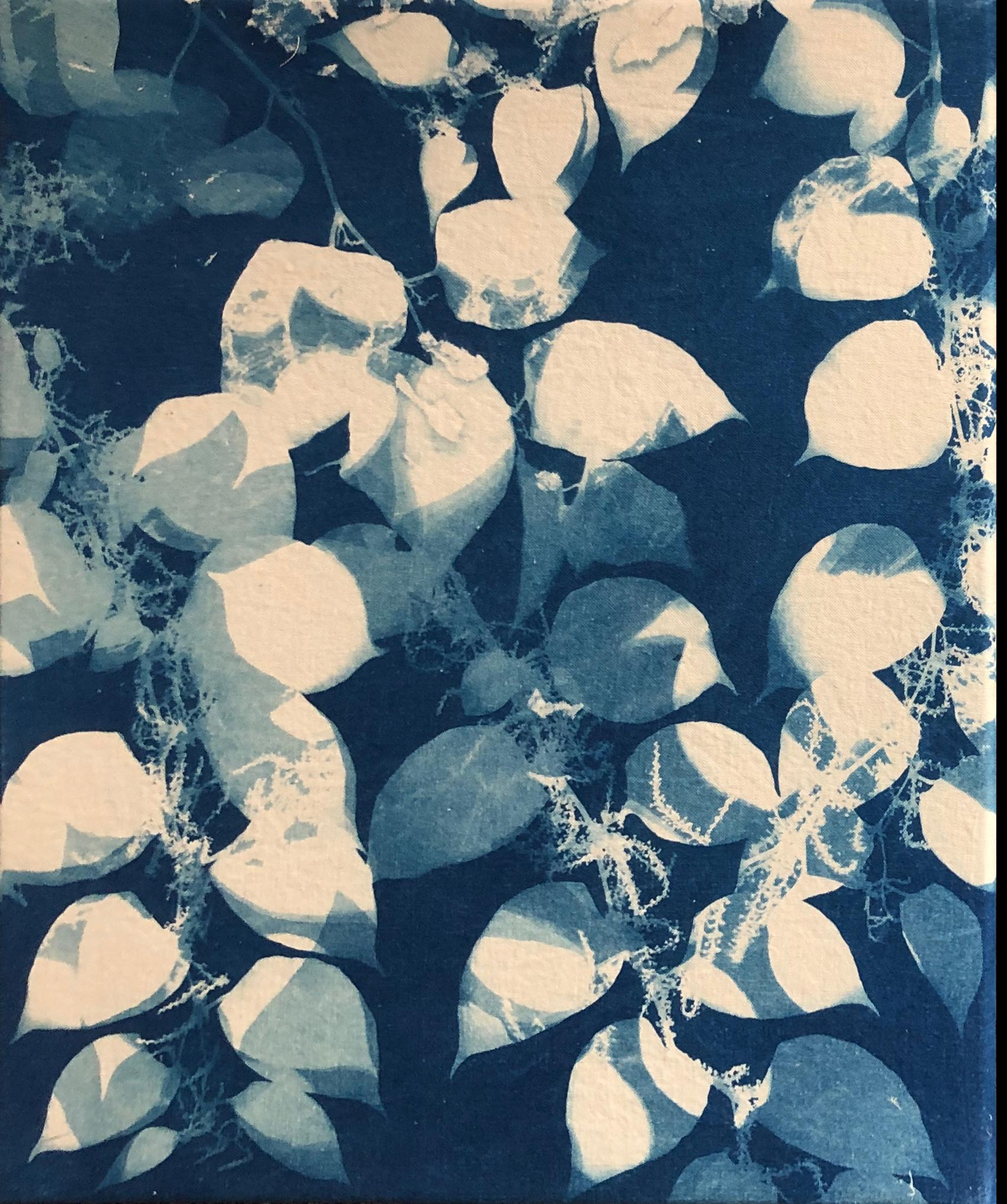 Marie Craig Abstract Photograph - "Knotweed", contemporary, leaves, branches, blue, cyanotype, photograph