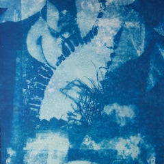 "Newnes Oven 3", contemporain, feuilles, bleu, cyanotype, photographie.