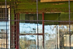 "Restructure (New South Wales)", Contemporary, Window, Red, Green, Photograph