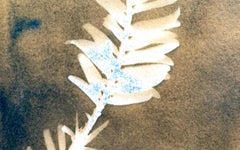 "Wolemi Pine 2", Contemporain, Jaune, Arbres, Forêts, Cyanotype, Photographie