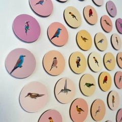 Aves 3: arte mural contemporáneo 3D circular inspirado en la naturaleza con pájaros rosa anaranjados