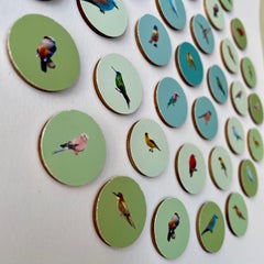 Aves 5: arte mural contemporáneo en círculo 3D inspirado en la naturaleza con pájaros verde azulados