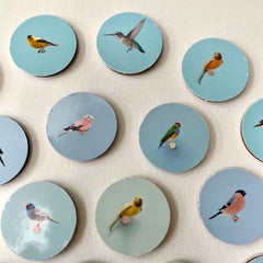 Aves 6: arte mural contemporáneo 3D circular inspirado en la naturaleza con pájaros beige azulados