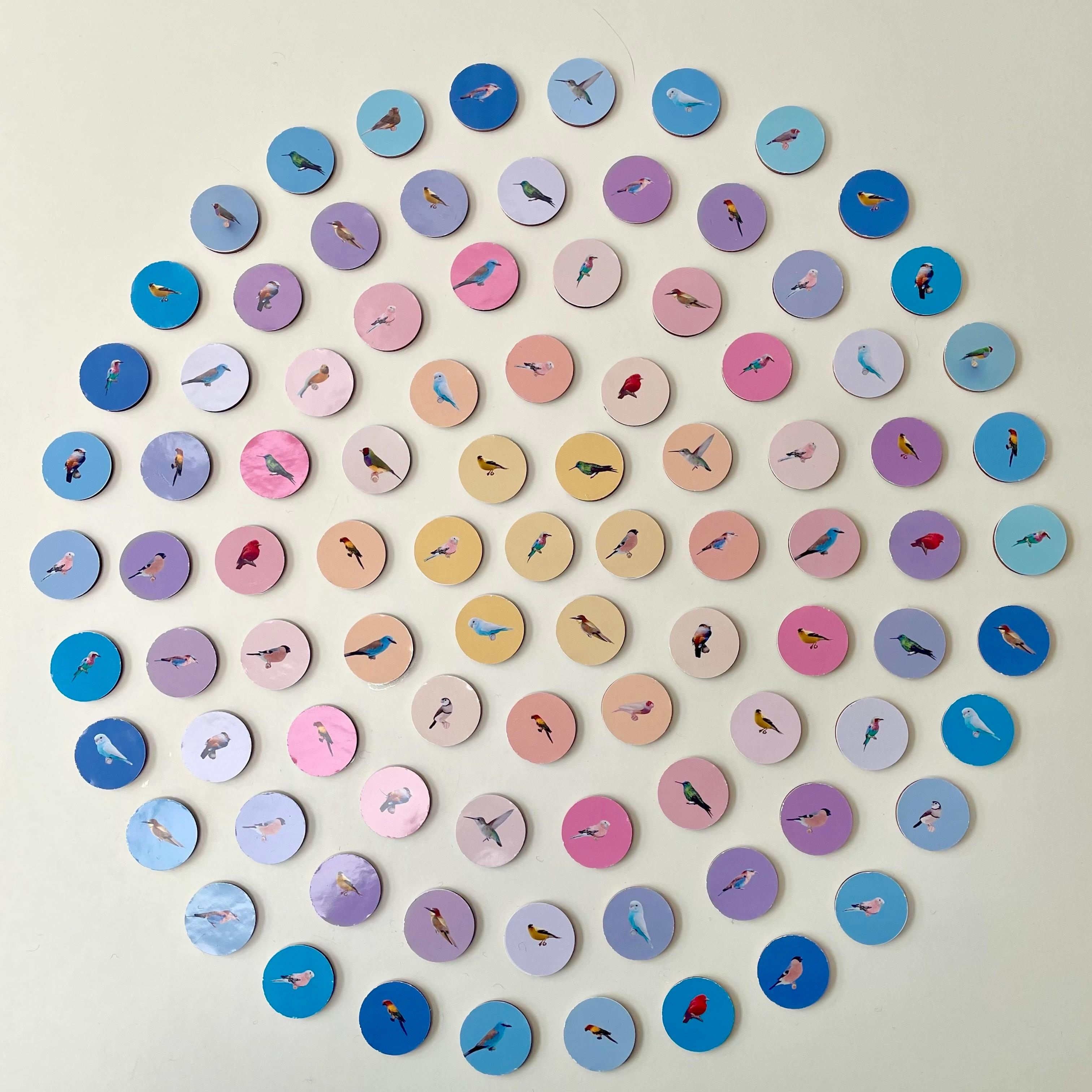 Aves G1: nature inspired 3D contemporary circle wall art with colorful birds