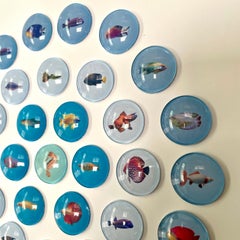 Piscis 6: nature inspired 3D contemporary circle wall art with blue fishes