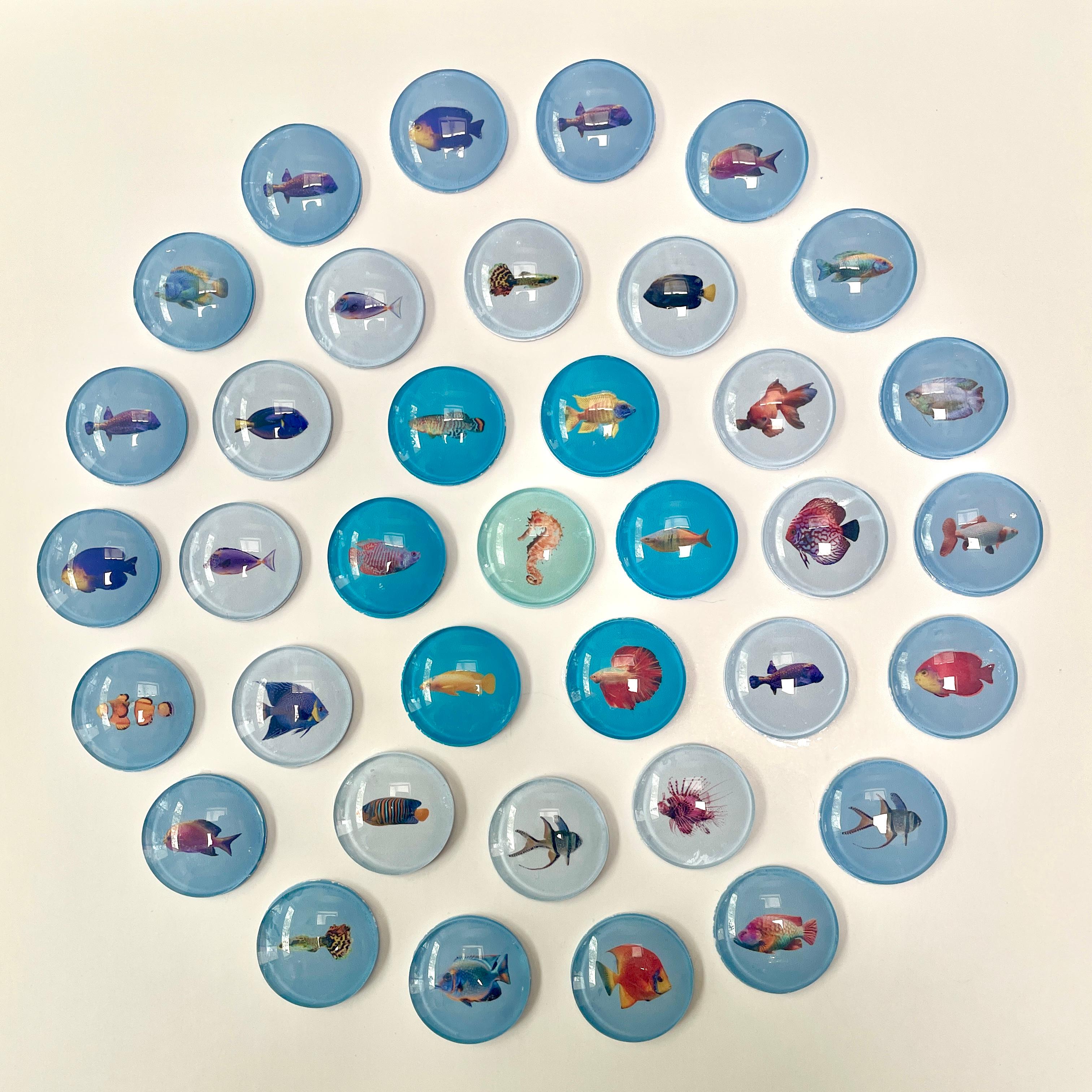 Marie Laforey Still-Life Photograph - Piscis 6: nature inspired 3D contemporary circle wall art with blue fishes