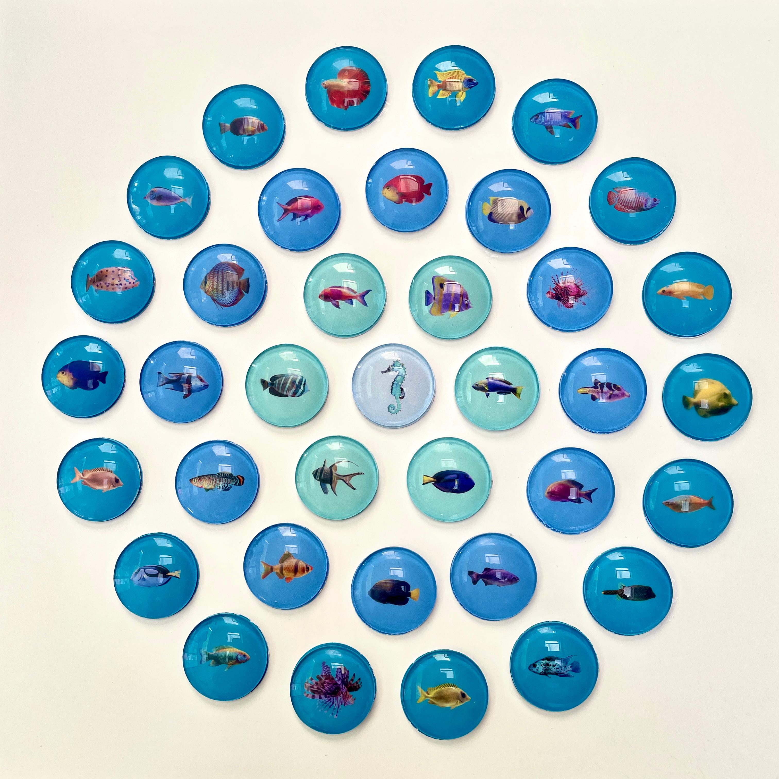 Piscis 7: nature inspired 3D contemporary circle wall art with blue fishes - Mixed Media Art by Marie Laforey