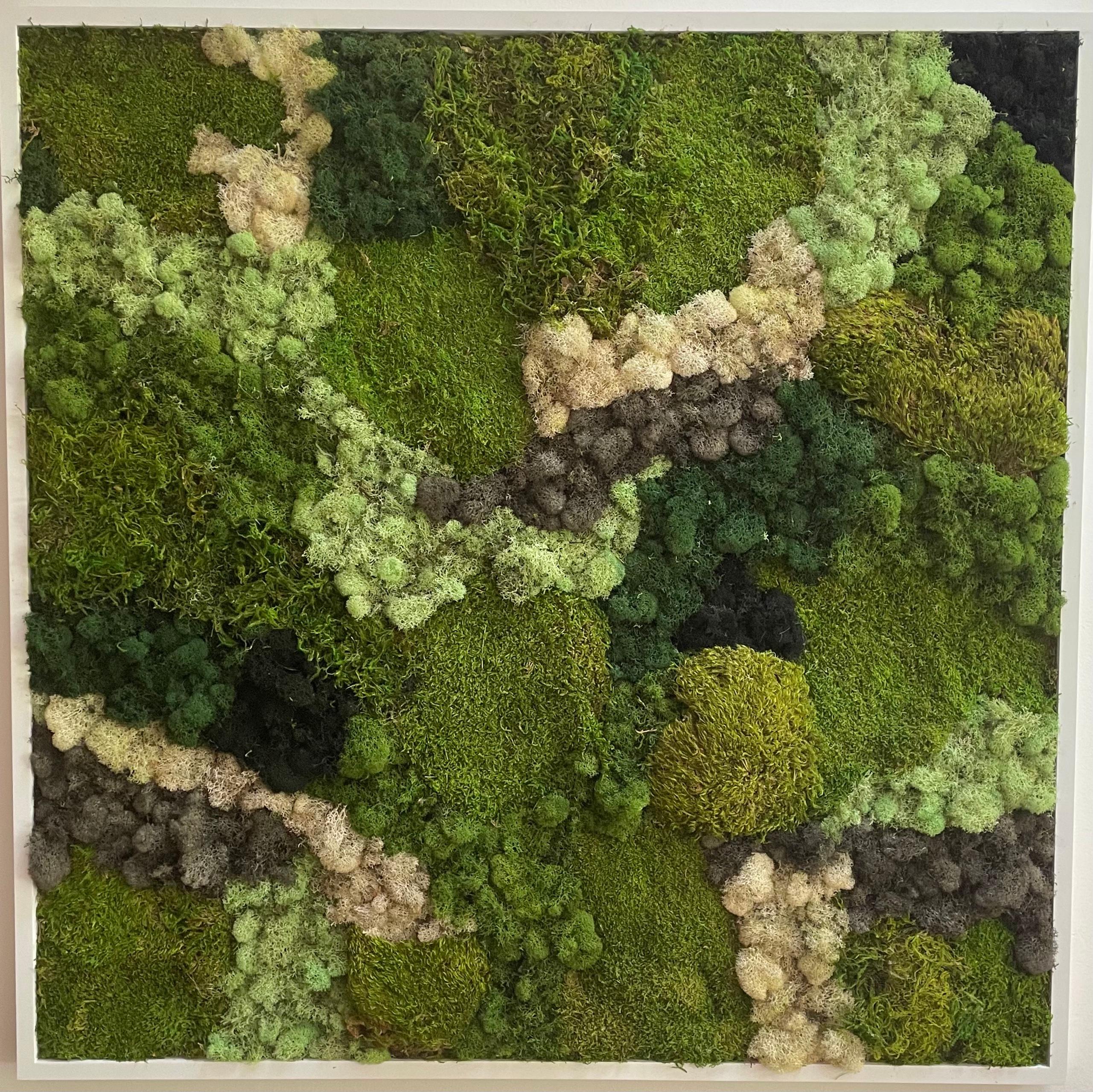 Viridi #50- framed abstract moss garden wall composition green, grey and white - Mixed Media Art by Marie Laforey