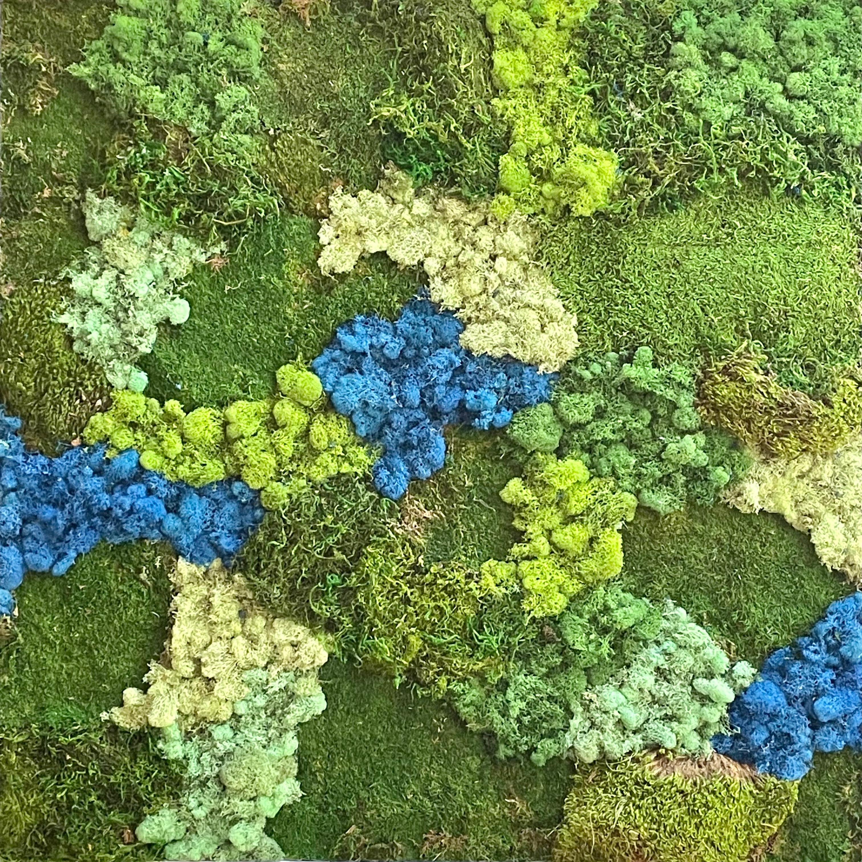 Viridi #52- framed abstract moss garden wall composition green, blue. Care free - Mixed Media Art by Marie Laforey