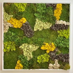Viridi #53- framed abstract moss garden wall composition green, yellow and grey
