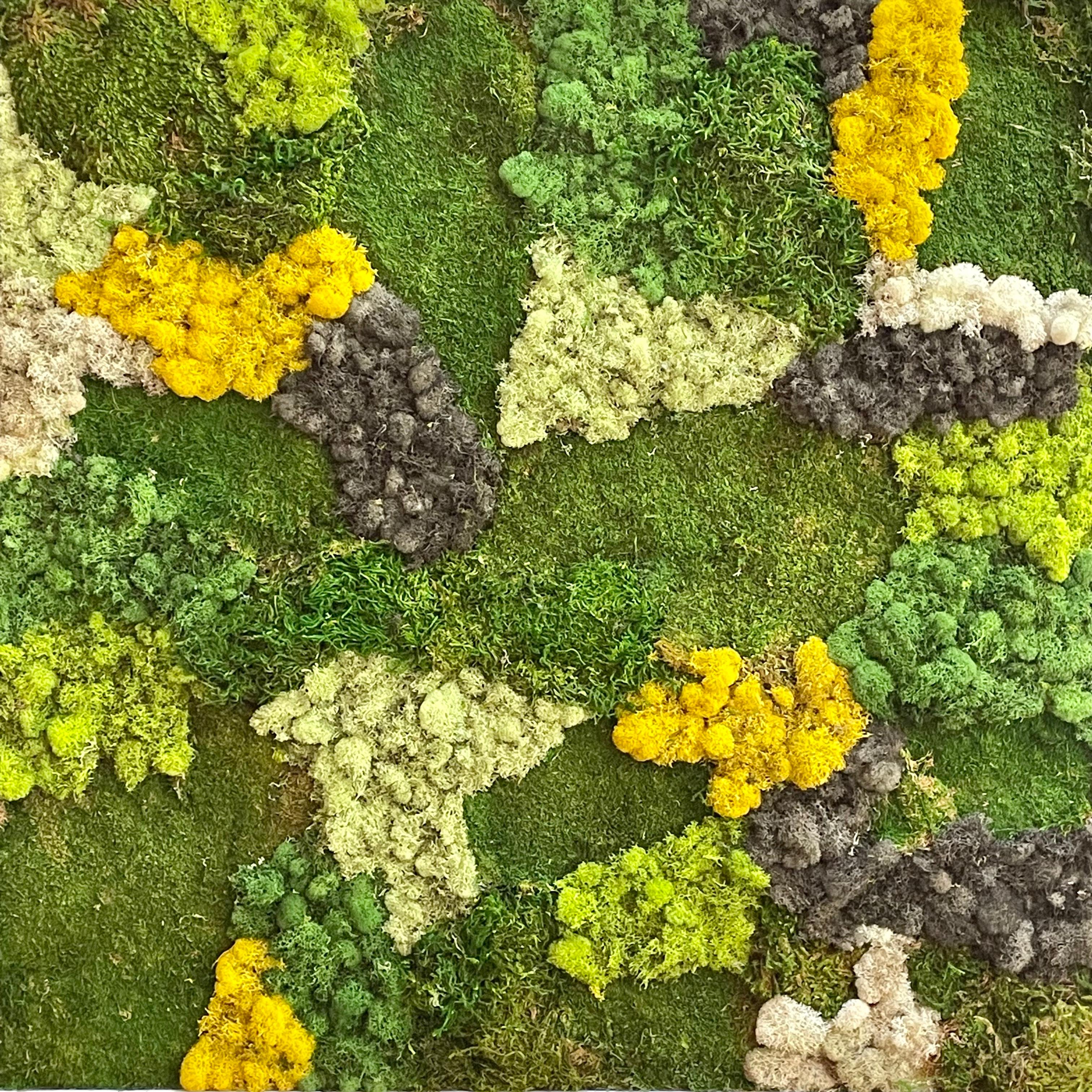 Viridi #53- framed abstract moss garden wall composition green, yellow and grey - Mixed Media Art by Marie Laforey