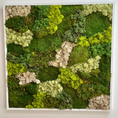 Viridi #54- abstract preserved care free moss wall composition green white