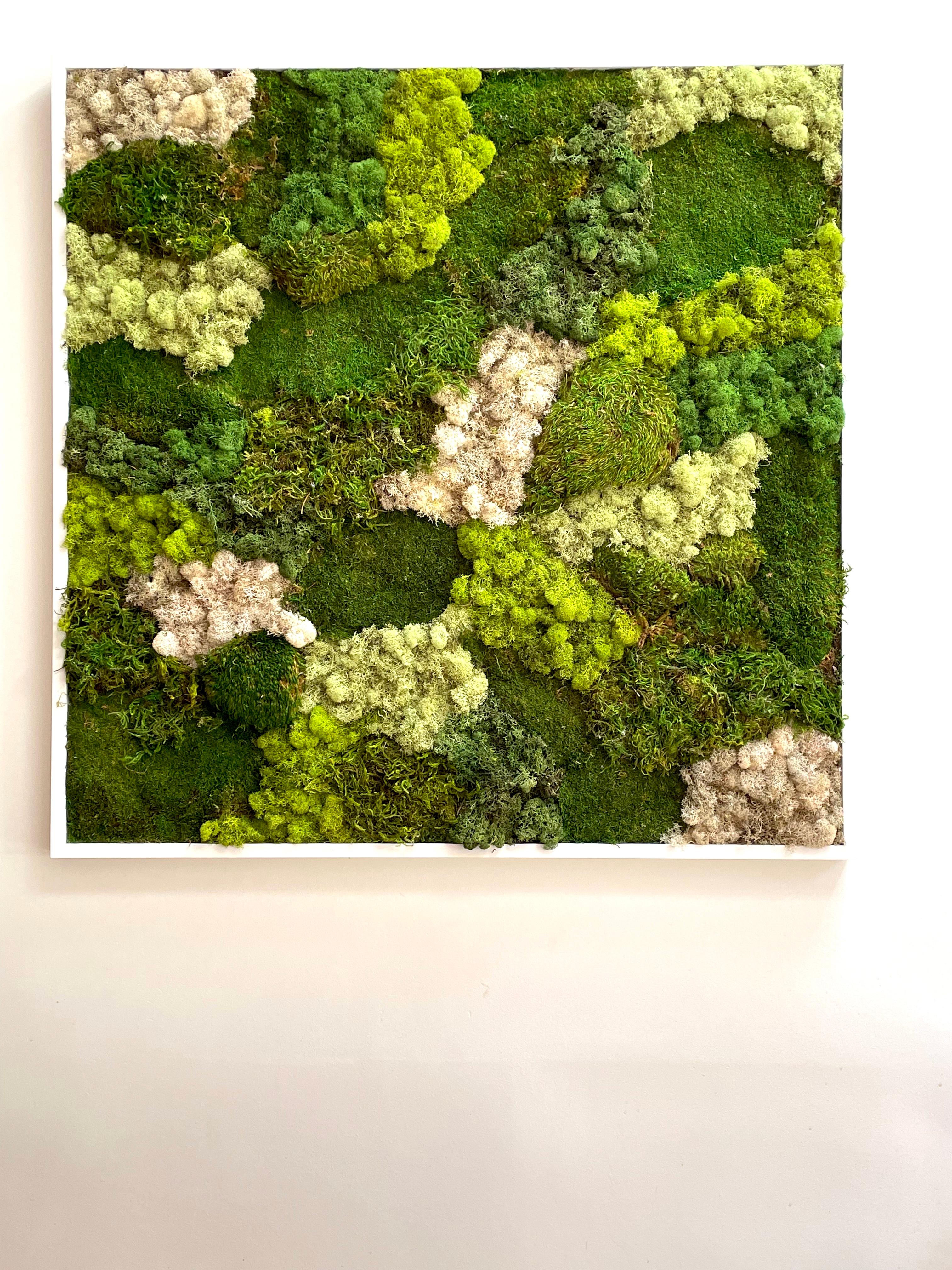 framed moss