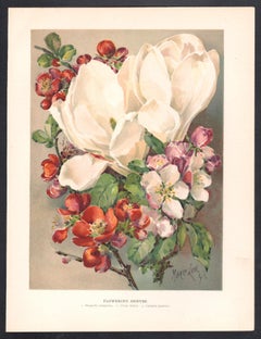 Flowering Shrubs, English antique flower chromolithograph, 1896
