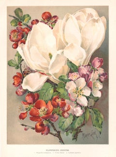 Flowering Shrubs, English antique flower chromolithograph, 1896