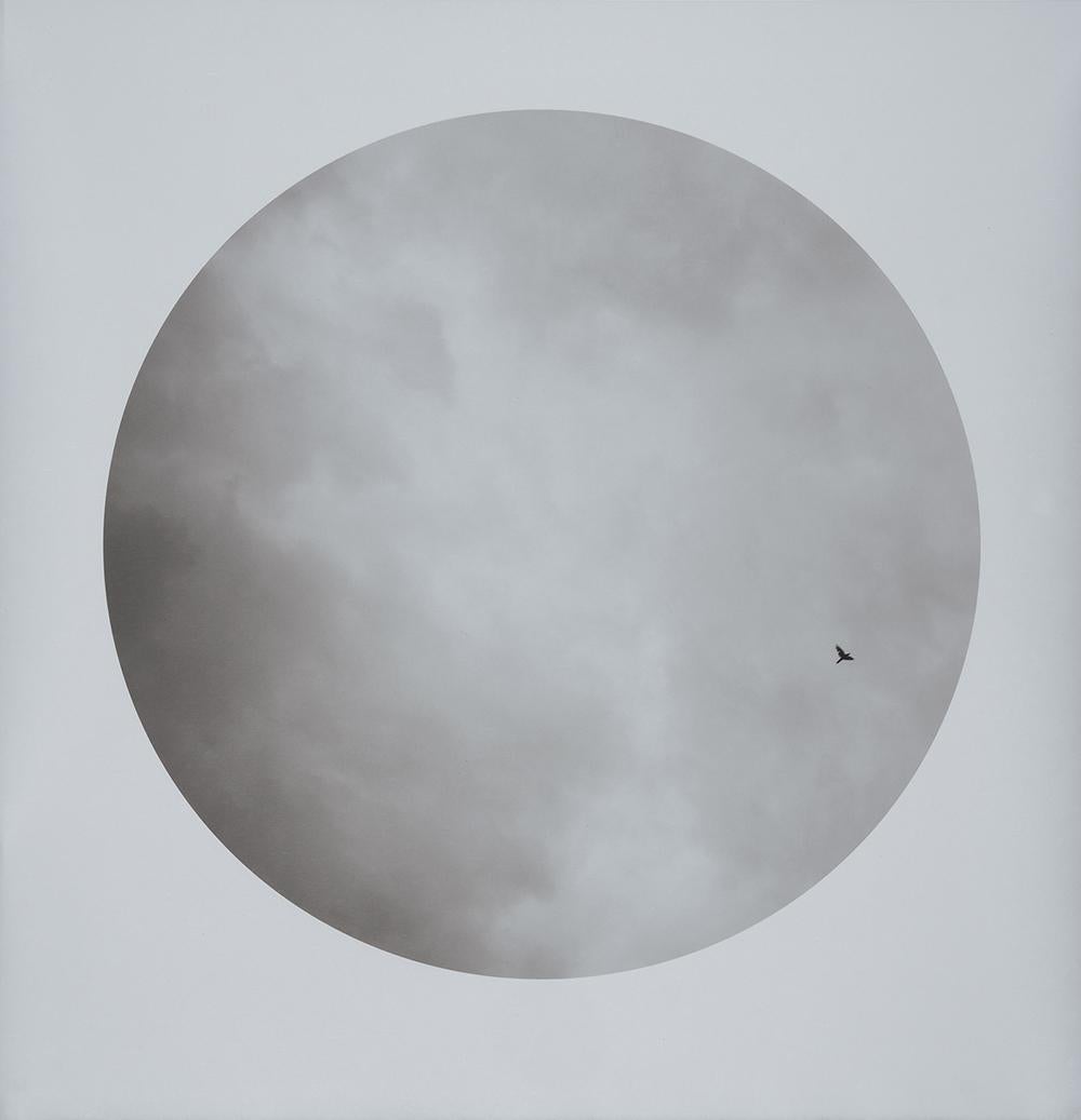 Marie Navarre Black and White Photograph - "remembering the way" black and white photograph clouds sky bird silhouette