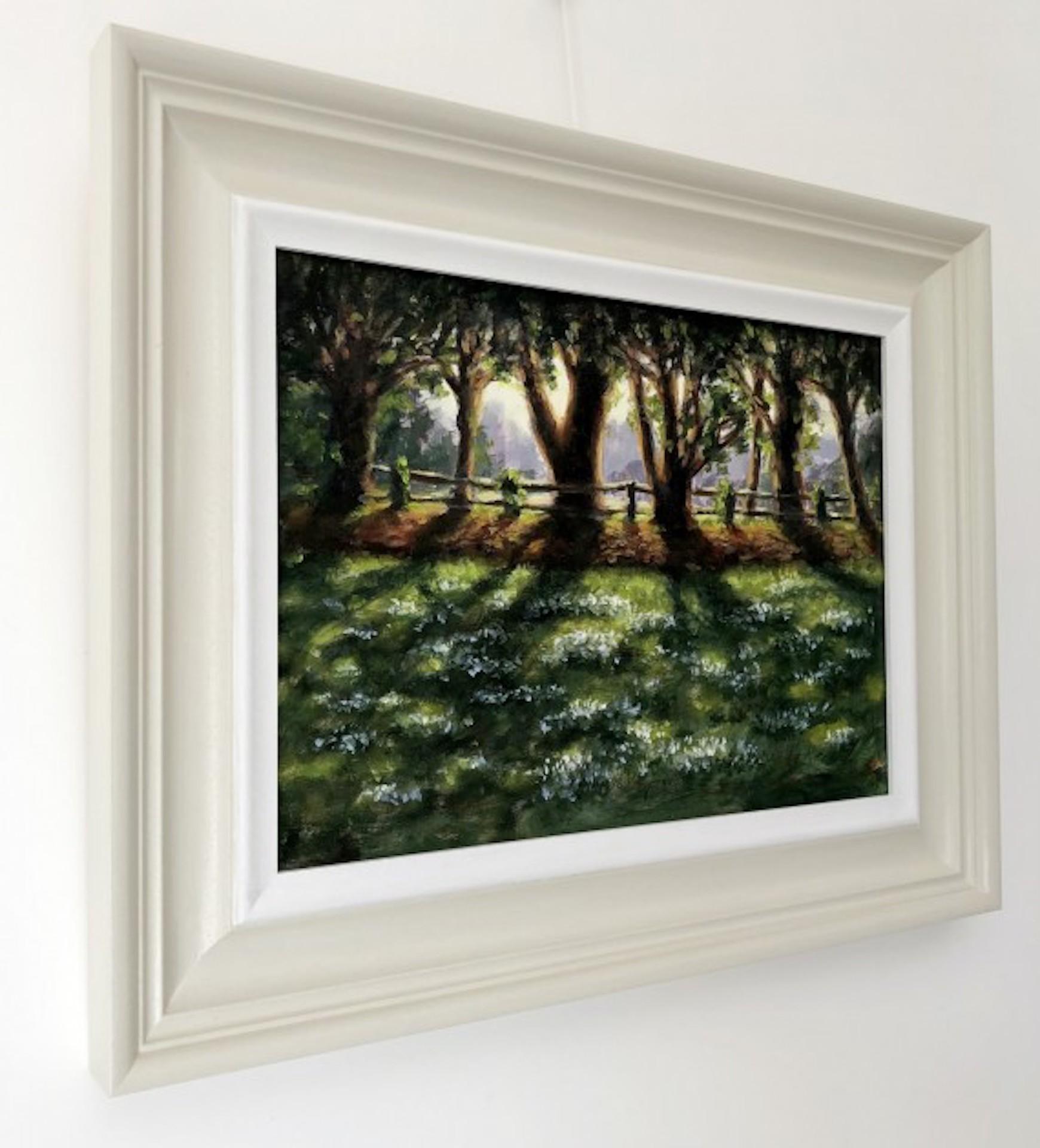 Marie Robinson's Sunlit Snowdrops, Swyncombe is an original oil painting of a carpet of snowdrops catching the late afternoon Winter sun through a row of yew trees. The location is by the Saxon church at Swyncombe in the Chilterns which is so well