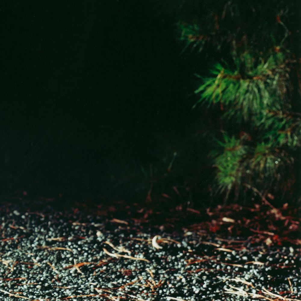Driveway (autoroute) - Noir Color Photograph par Maria Passarotti