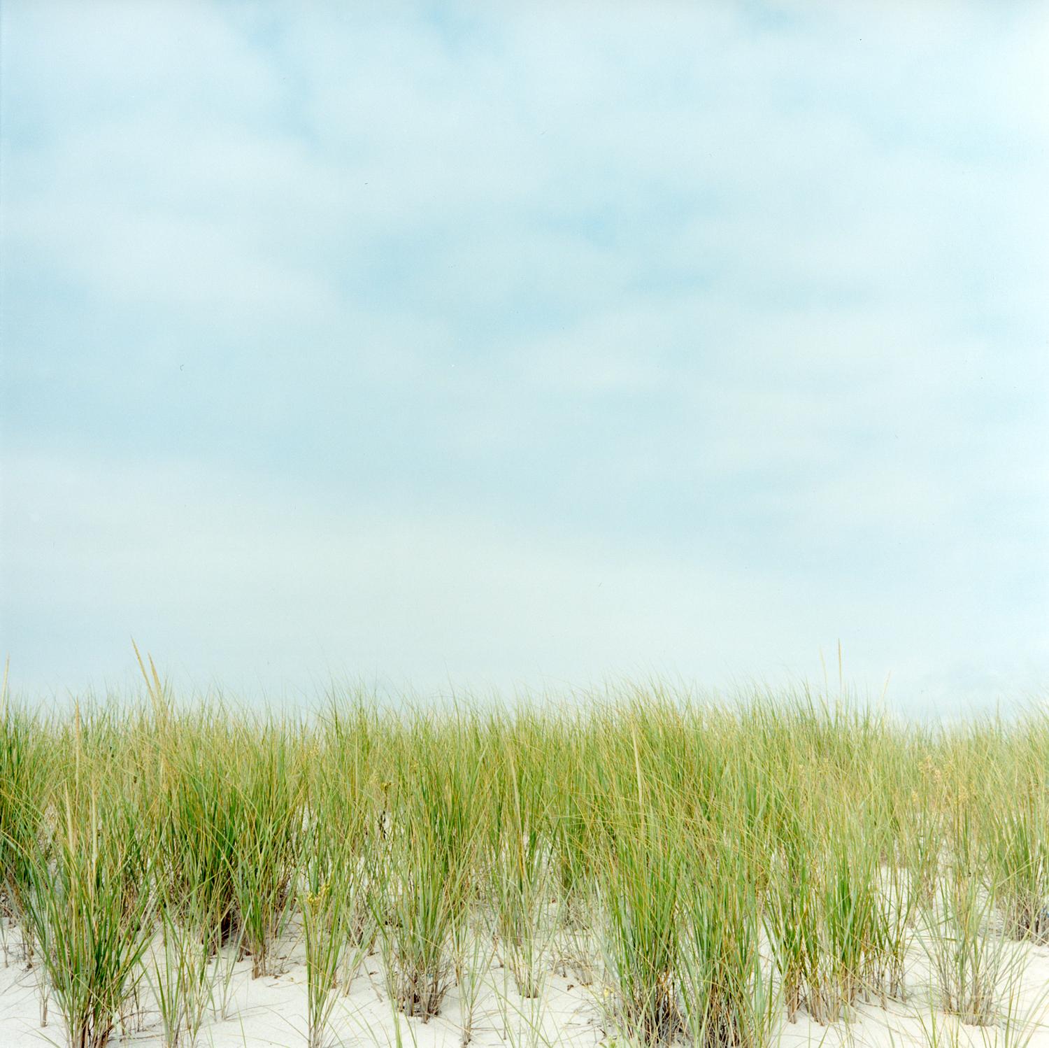 Maria Passarotti Landscape Photograph - Dunes, 38" x 38" color photograph