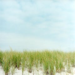 Dunes, 38" x 38" color photograph