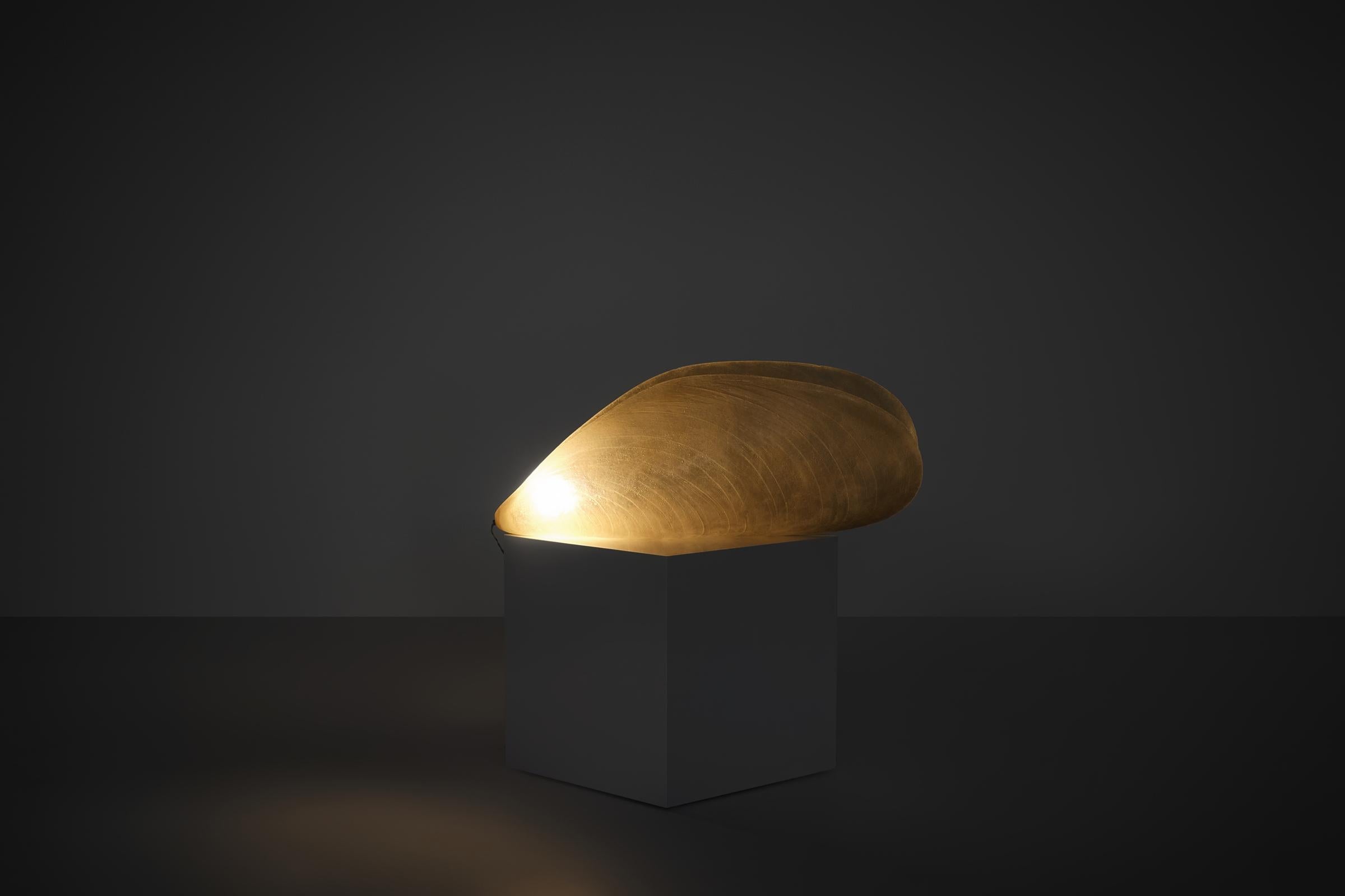 Marika Carniti Bollea XL 'Cozza' Lampe aus der Serie 