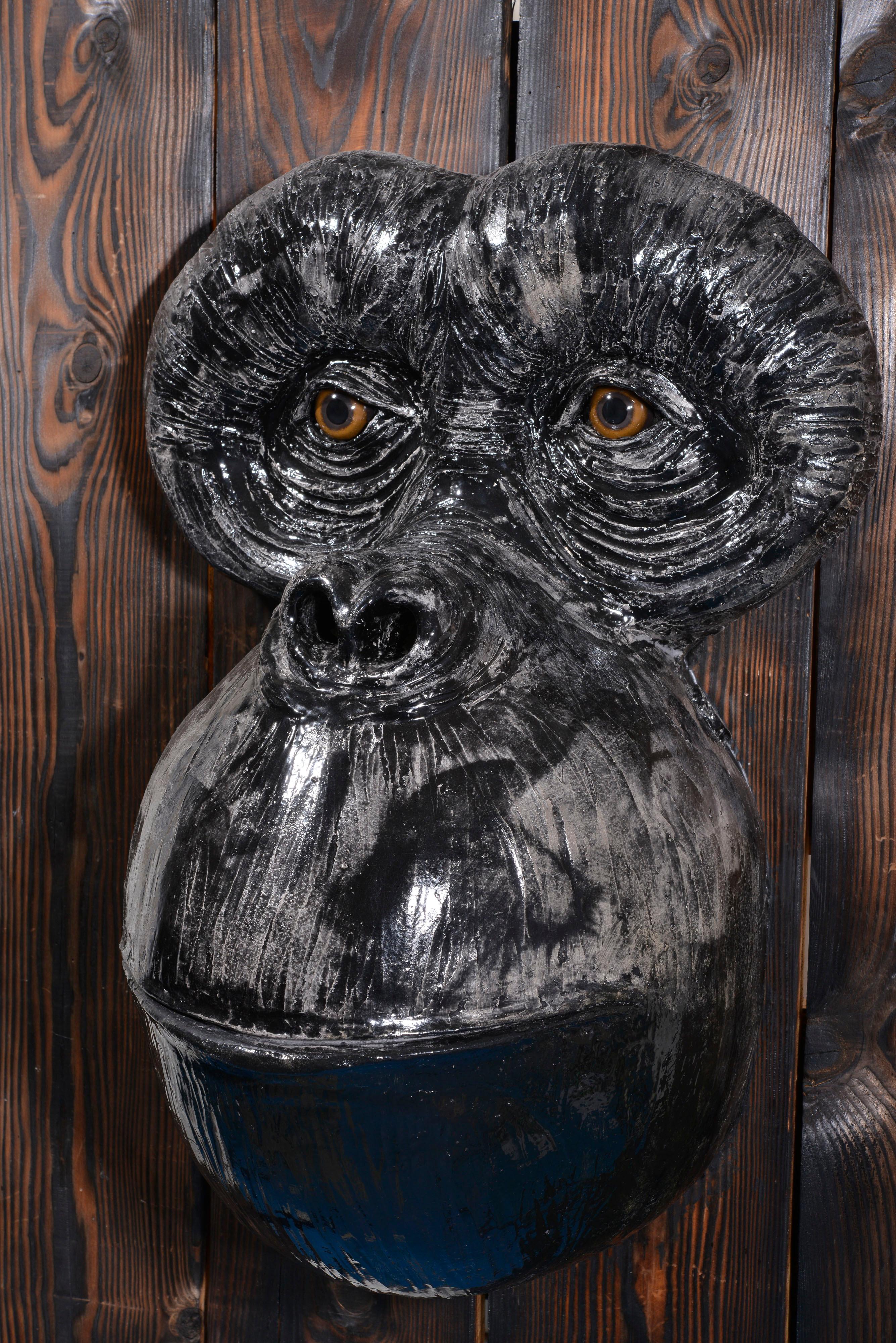 Orang-Utan 11
