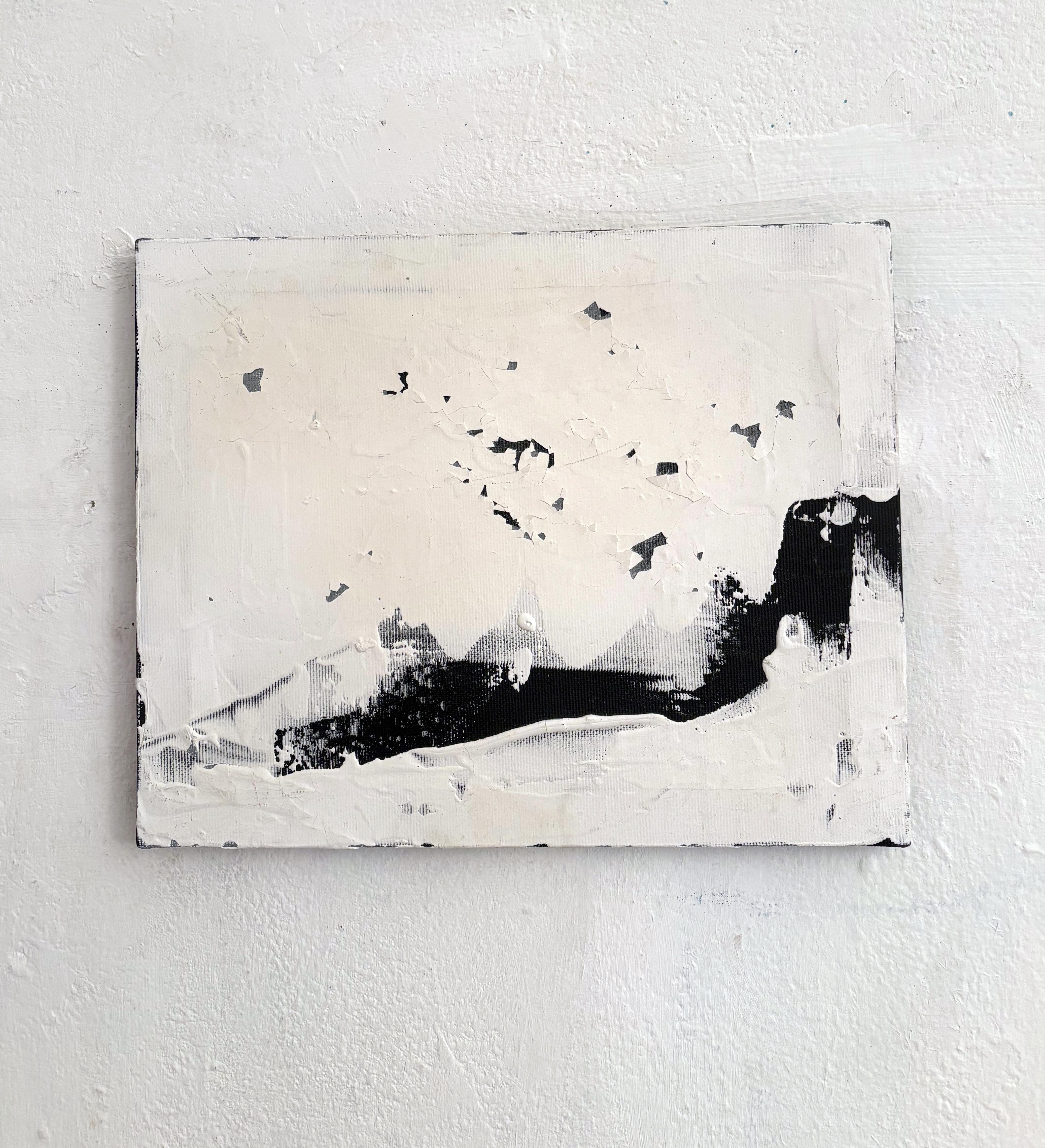 Title:
Abstract Landscape – Textured Painting

Description:
Unique artwork by Marilina Marchica, created in 2015 using mixed media on canvas (24x30 cm). This painting features an abstract black and white landscape, enriched by a strong sense of