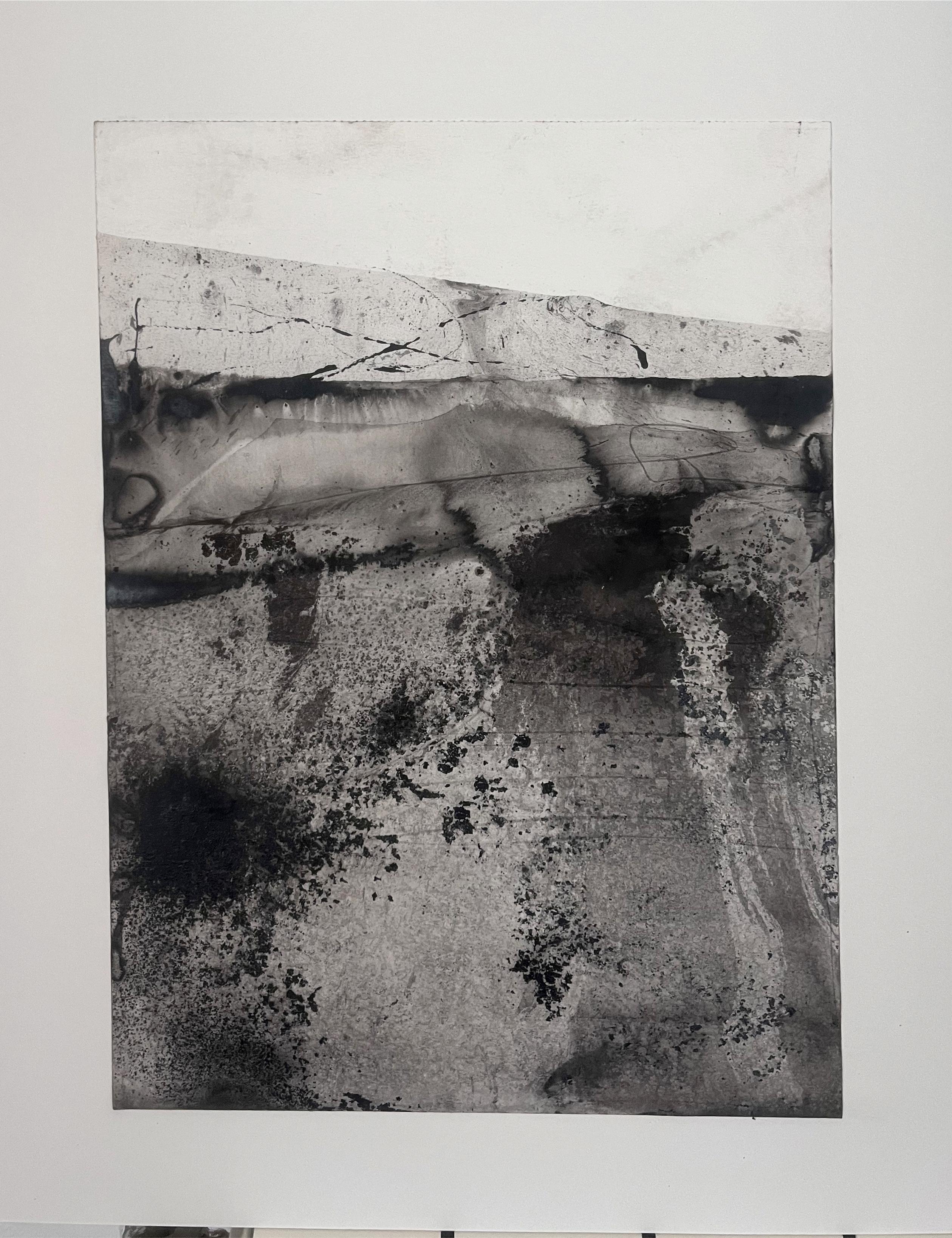 
Landscape B/W
charcoal on paper (Canson paper 300 gr)
30x 42 cm
framed SIZE
40x50 cm
the drawing comes with a passepartout and a rigid support ready to be hung

this painting is published in the personal exhibition catalogue
