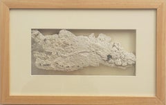 "Fragmento" - Escultura mural moldeada en silicona, Obra de arte original